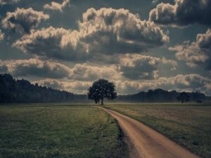 ヘアスタイリスト_自分