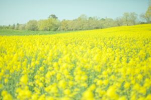 季節の変わり目と体調管理